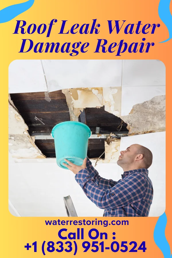 Roof Leak Water Damage Repair in Burns, TN
