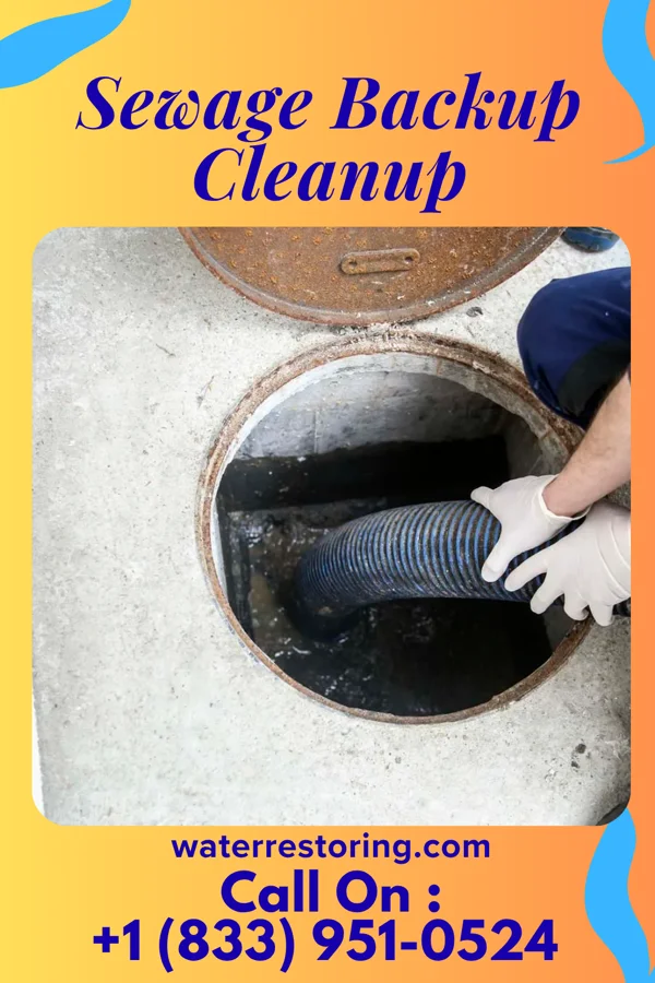 Sewage Backup Cleanup in Burns, TN